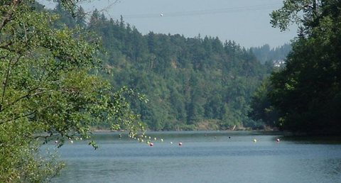 The slalom course